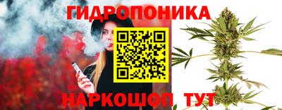 хмурый Жуковский