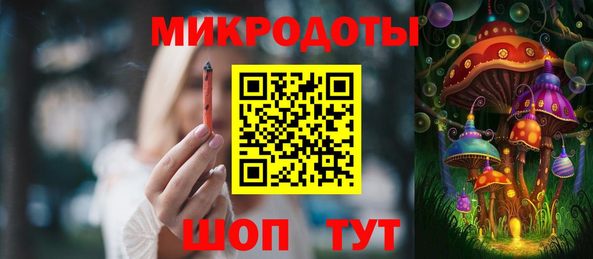Псилоцибиновые грибы Cubensis Ликино-Дулёво