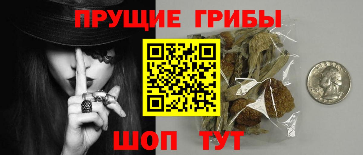 Псилоцибиновые грибы прущие грибы  Вход с VPN  Ликино-Дулёво 